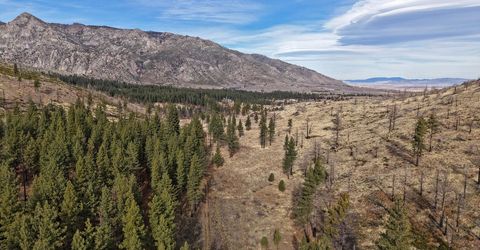 Apn 047 State Route 89, Markleeville, CA 96120 Photo