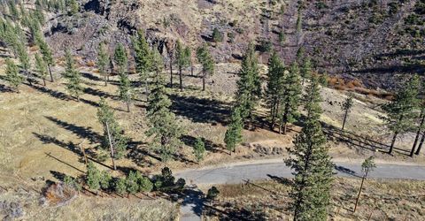 Apn 047 State Route 89, Markleeville, CA 96120 Photo