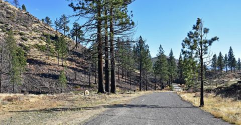 Apn 047 State Route 89, Markleeville, CA 96120 Photo