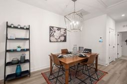 305 Flowering Peach photo 4