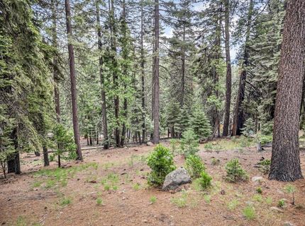 618 & 620 Pine Canyon Road, Unit 12, Lake Almanor, CA 00000 Photo