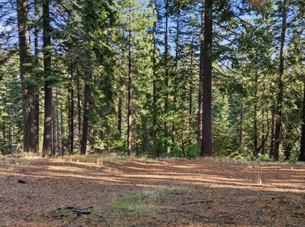 618 & 620 Pine Canyon Road, Unit 12, Lake Almanor, CA 00000 Photo