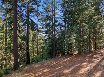 618 & 620 Pine Canyon Road, Unit 12, Lake Almanor, CA 00000 Photo