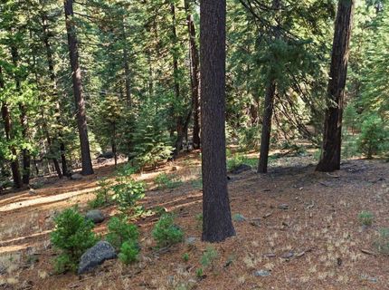 618 & 620 Pine Canyon Road, Unit 12, Lake Almanor, CA 00000 Photo