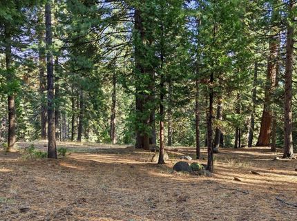 618 & 620 Pine Canyon Road, Unit 12, Lake Almanor, CA 00000 Photo