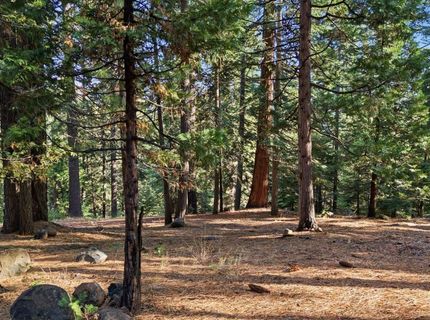 618 & 620 Pine Canyon Road, Unit 12, Lake Almanor, CA 00000 Photo