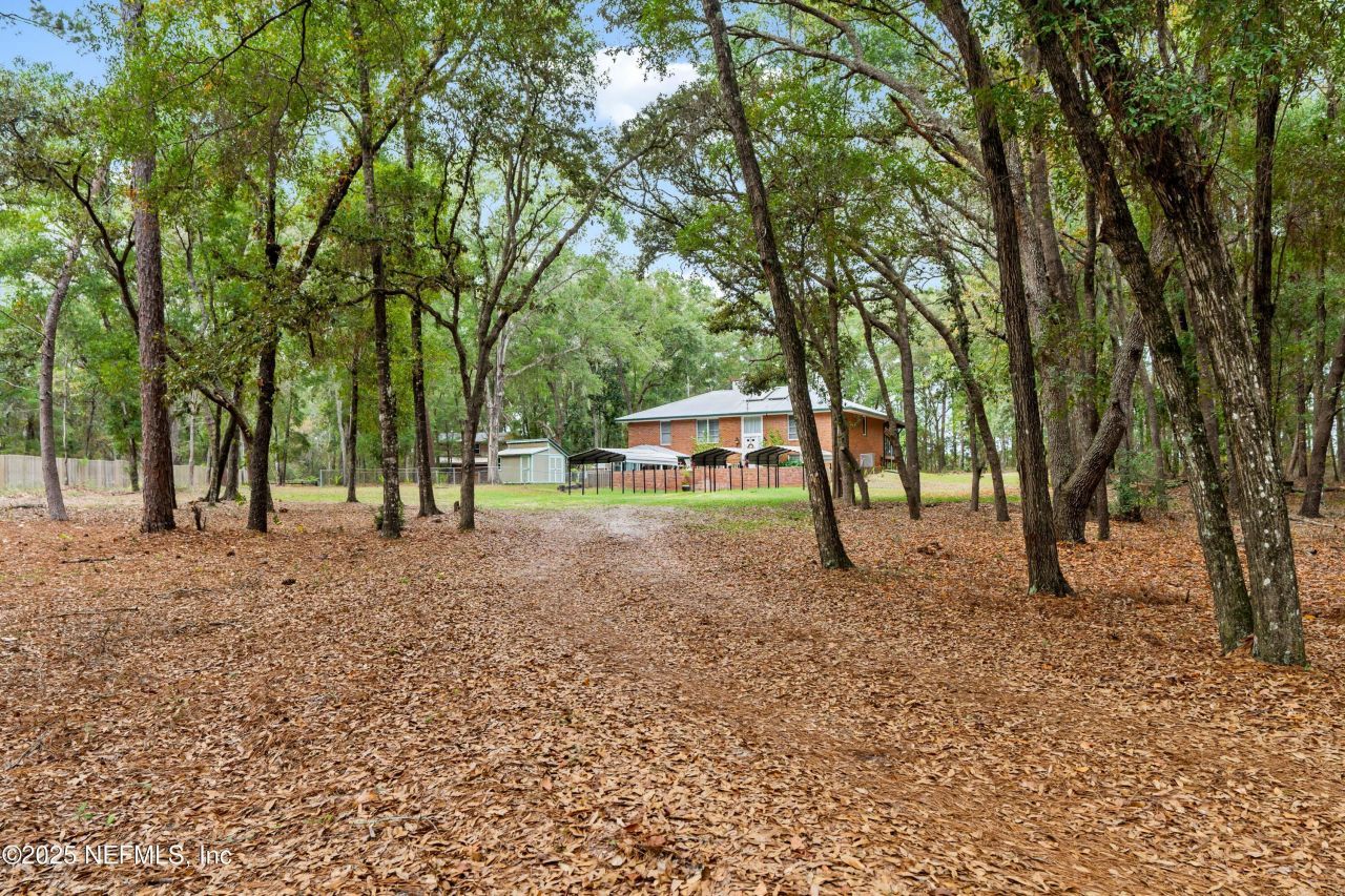 8290 Melrose Road, Melrose, FL 32666 Photo