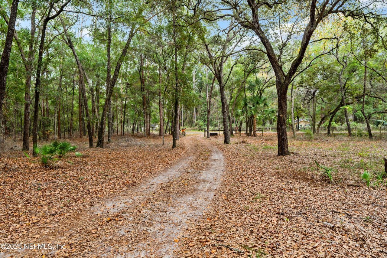 8290 Melrose Road, Melrose, FL 32666 Photo