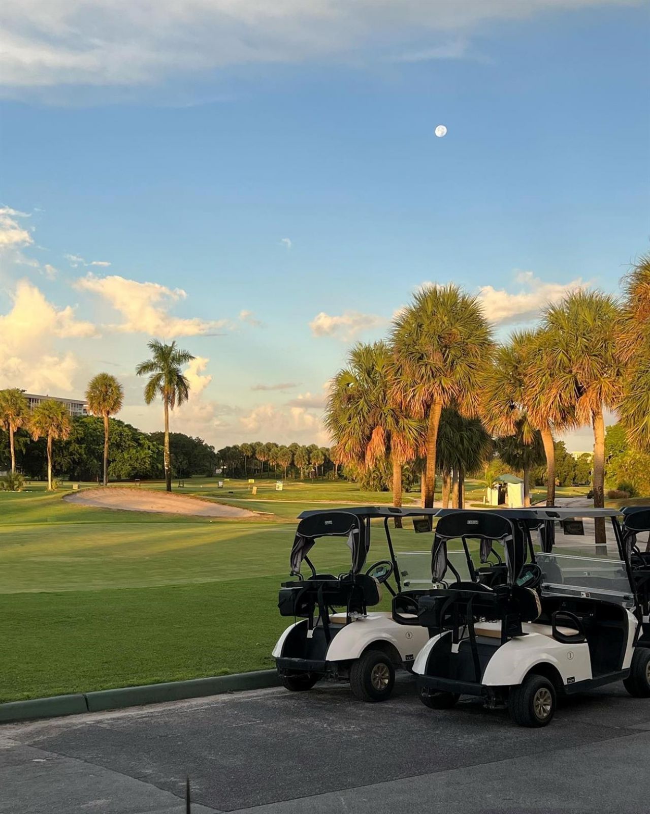 3010 N Course Drive, Unit 209, Pompano Beach, FL 33069 Photo