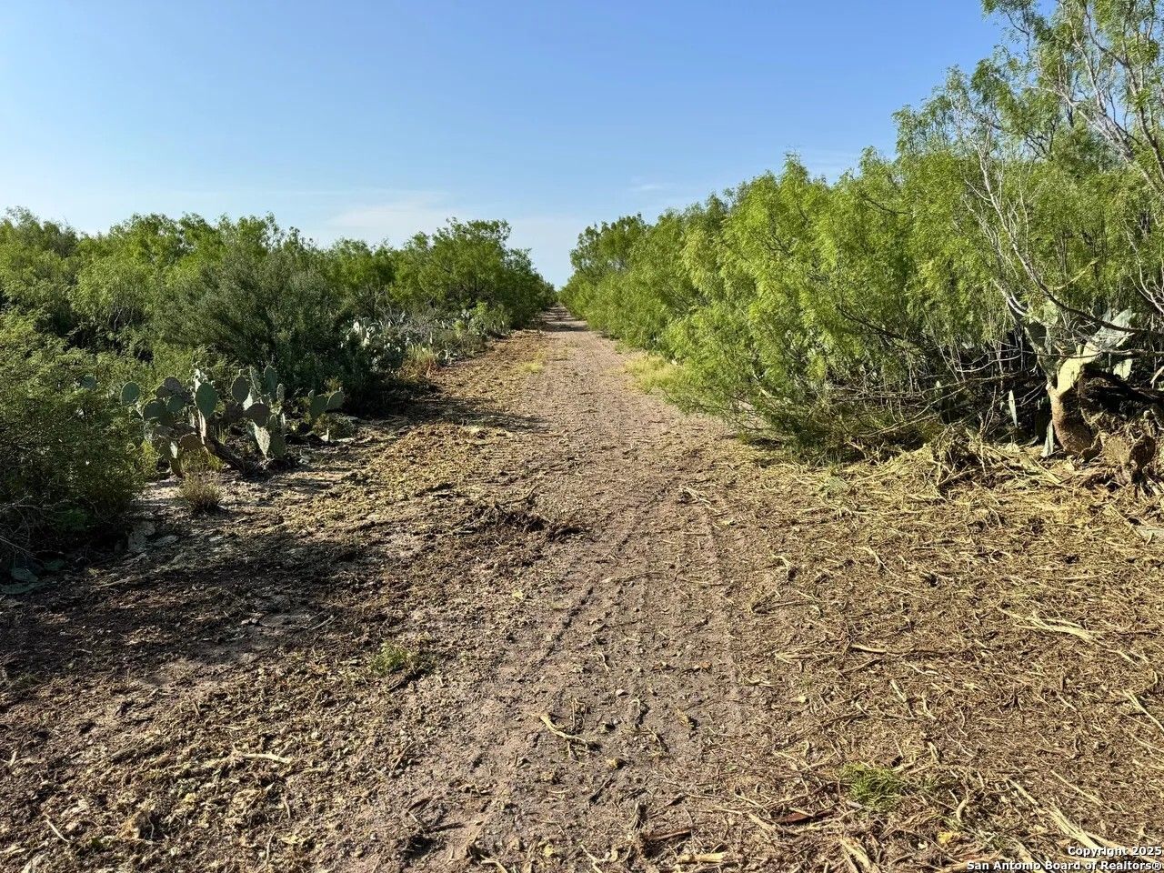 0 Cameron Ln, Fowlerton, TX 78021 Main Photo