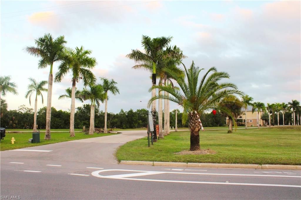 336 Freesia St, Everglades City, FL 34139 Photo