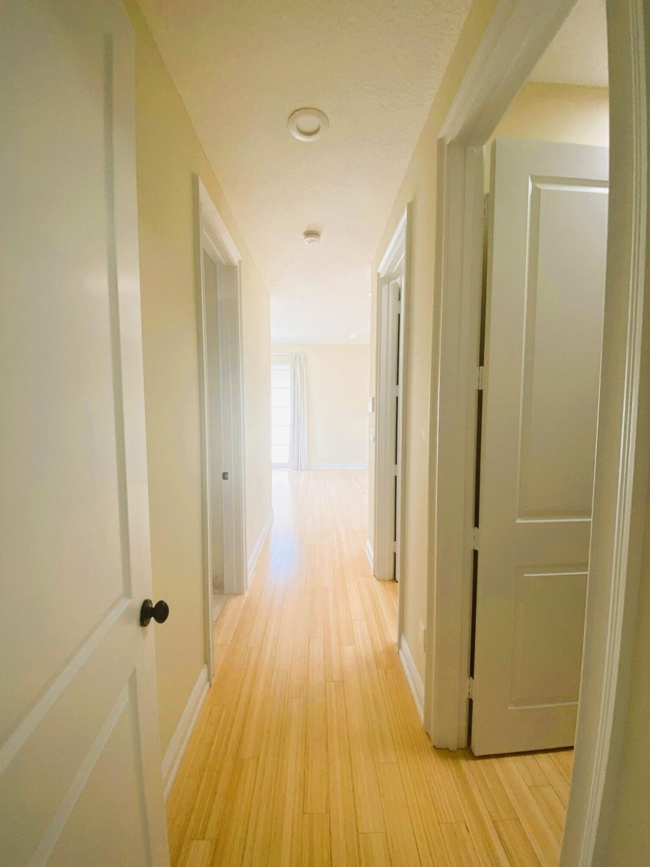 50 Via Poinciana Lane, Boca Raton, FL 33487 Photo