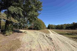 Lot 25 Norwood Farms photo 4