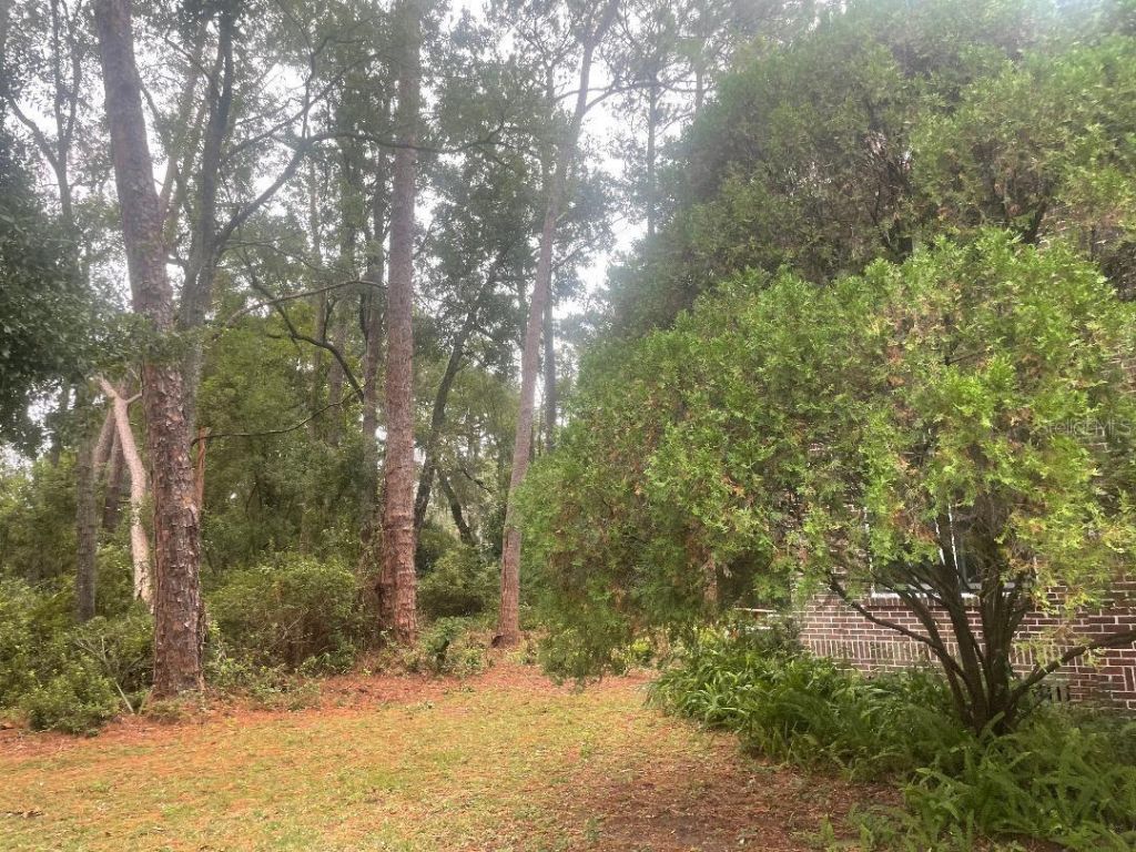 635 NE 9th Avenue, Gainesville, FL 32601 Photo