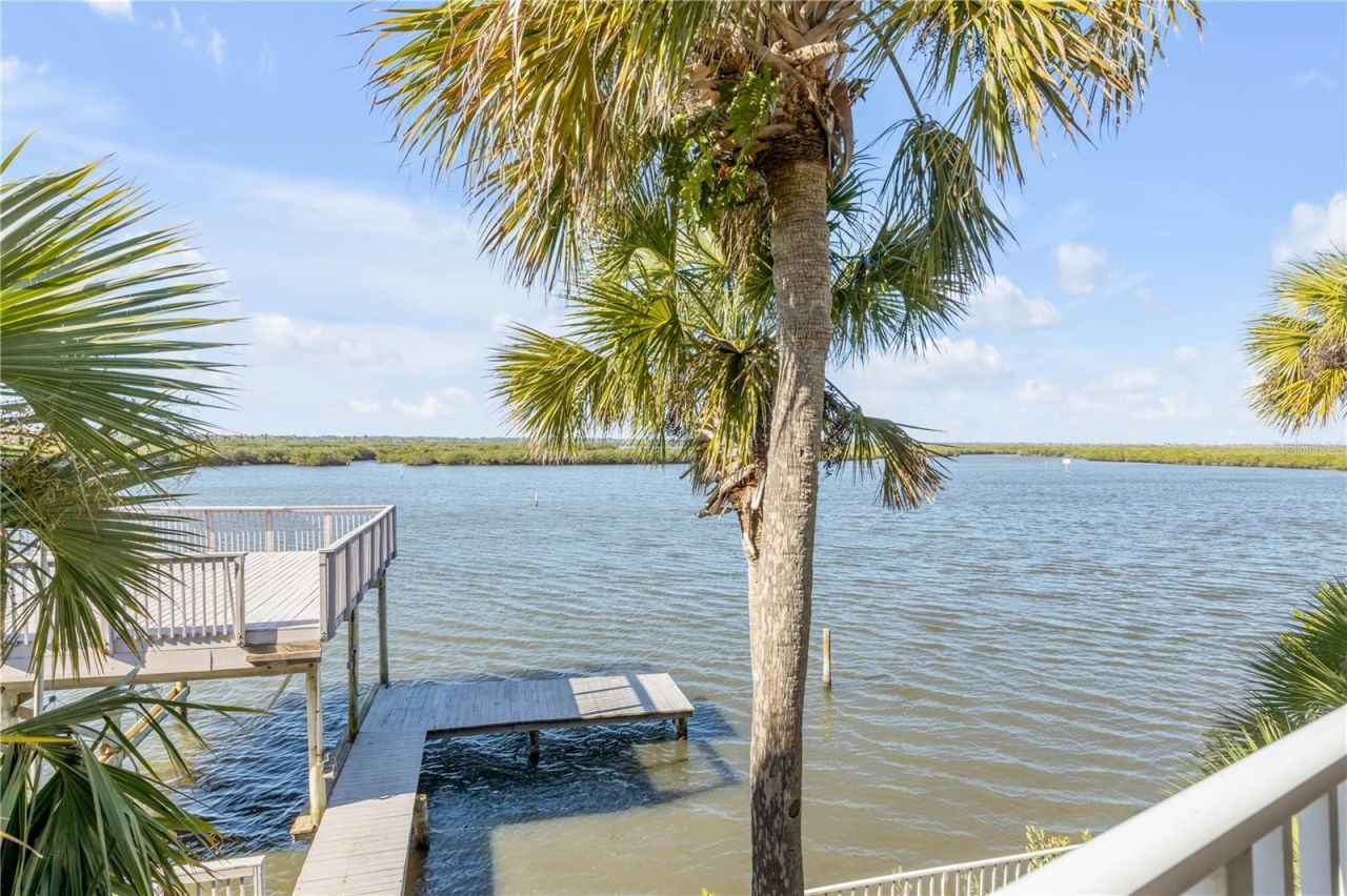 824 Eel Avenue, New Smyrna Beach, FL 32169 Photo
