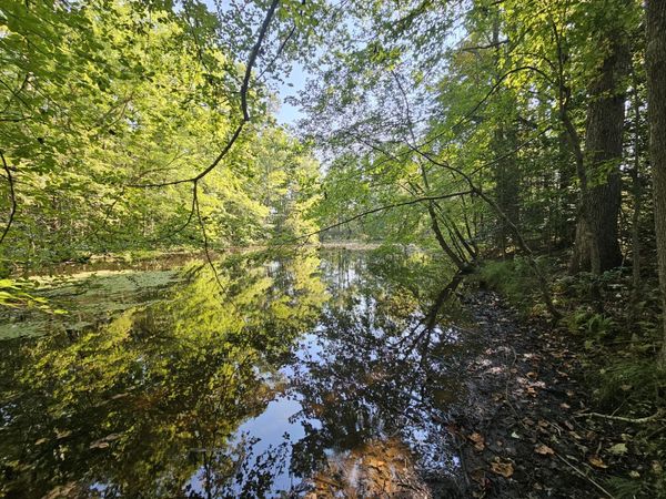 71 SR 108 , Gruetli Laager, TN 37339