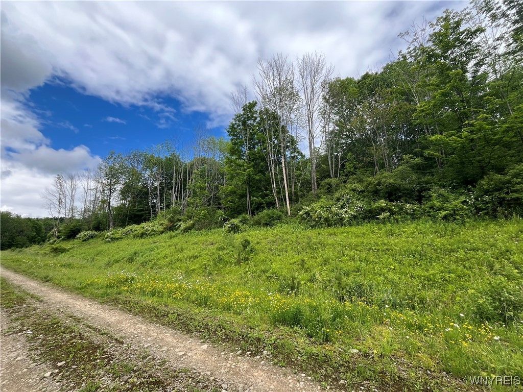 Tbb Lot #5 42 Degrees North, Ellicottville, NY 14731 Main Photo