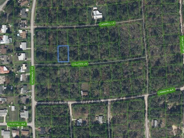 208 COLEEN LANE, LAKE PLACID, FL 33852