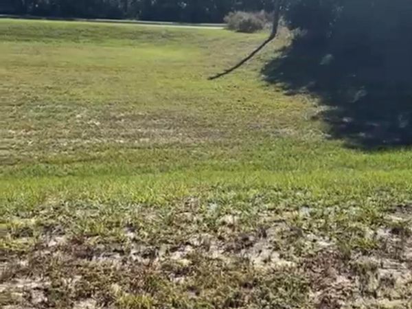 4017 SW 133rd Loop, Ocala, FL 34473