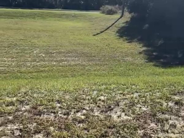 4017 SW 133rd Loop, Ocala, FL 34473