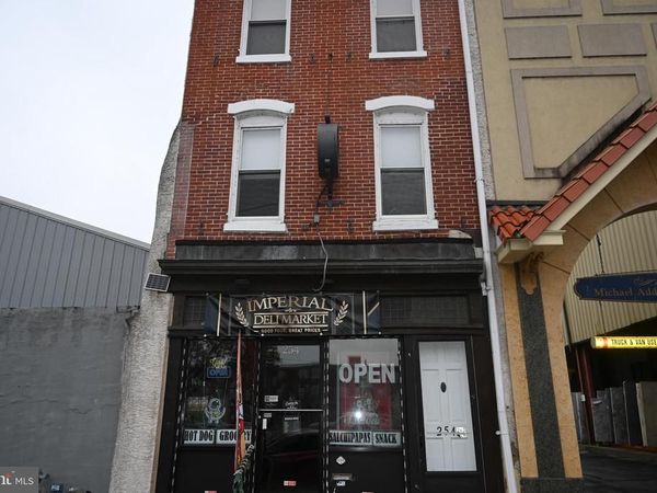 254 E MAIN STREET, NORRISTOWN, PA 19401