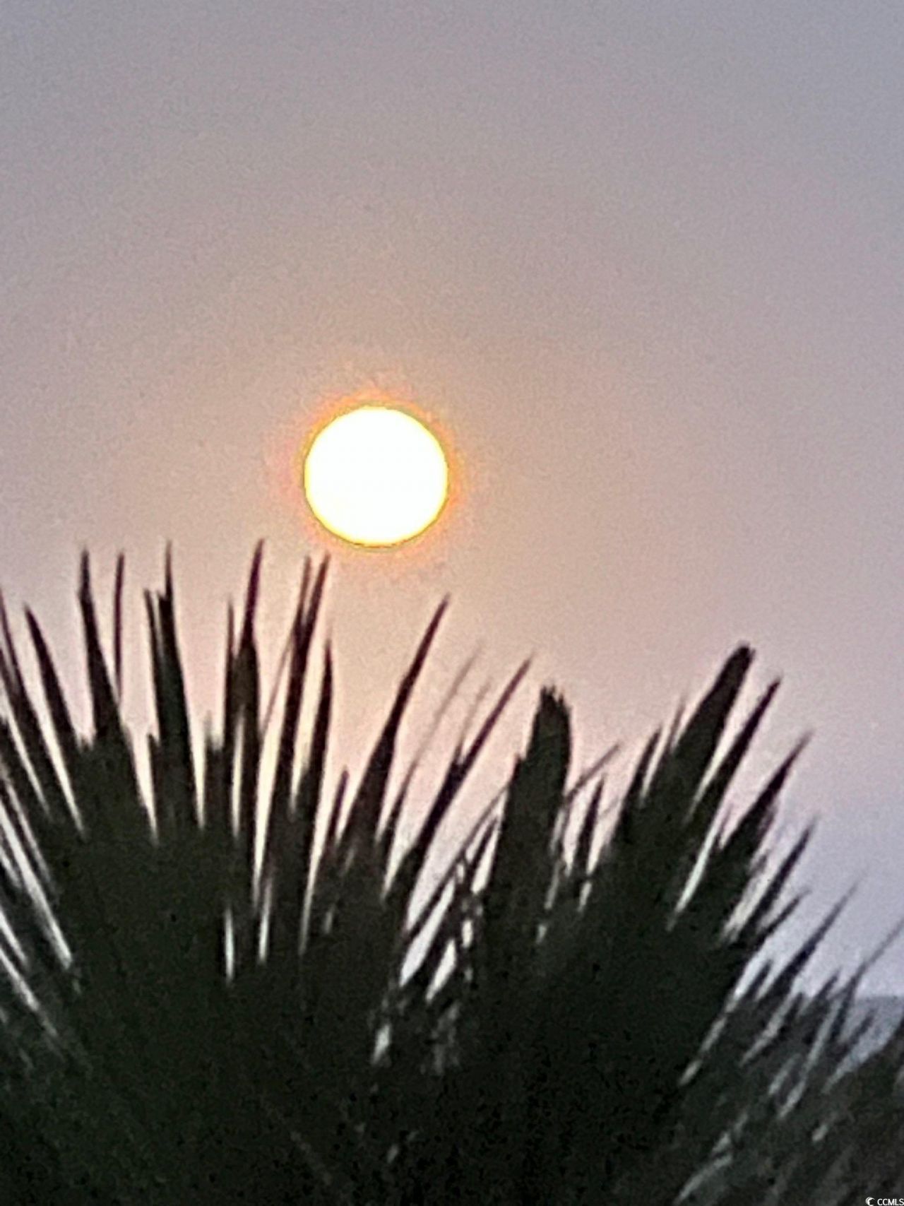 81 Ocean Green Dr. Photo 12