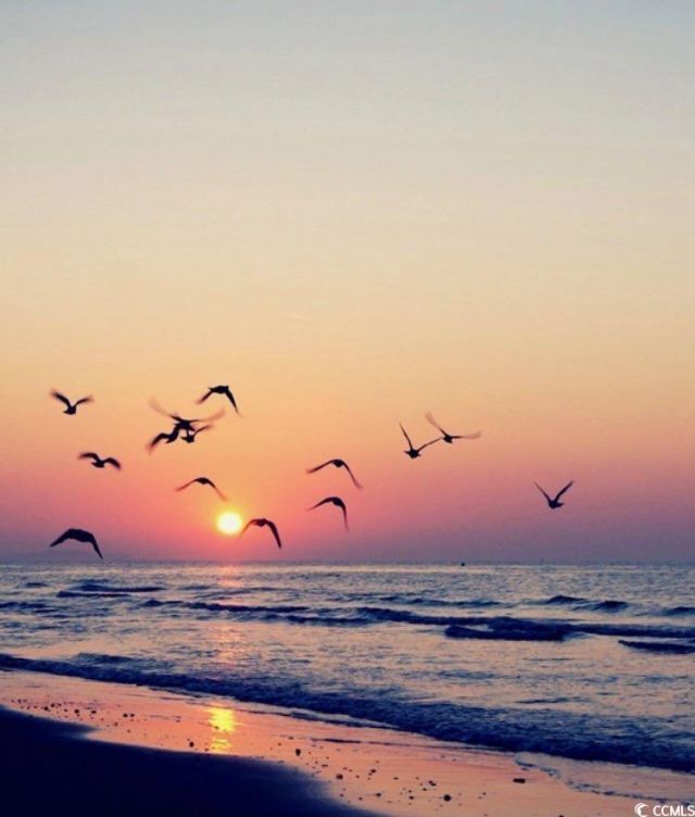 81 Ocean Green Dr. Photo 23