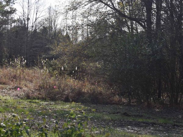 0 193 HWY, Rossville, TN 38066