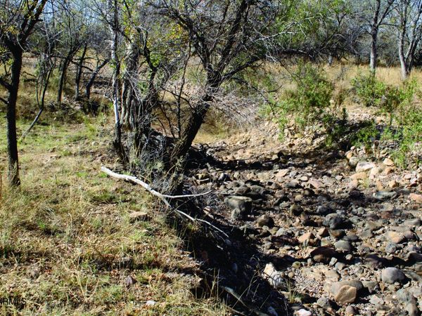 10 Acres E Roadrunner Lot D Lane, Unit D, Pearce, AZ 85625