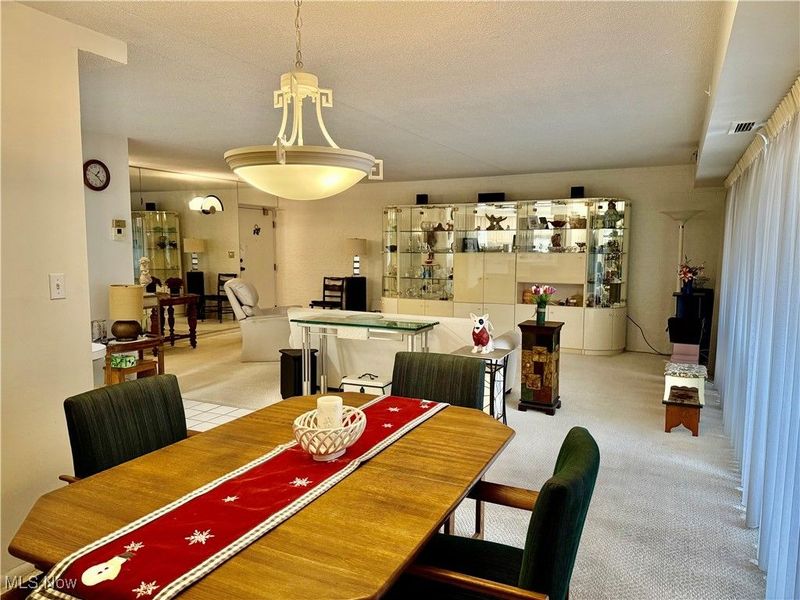 935 Canyon View Road, Unit 202, Sagamore Hills, OH 44067 Photo 16