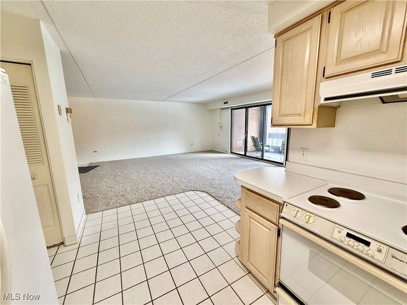 935 Canyon View Road, Unit 202, Sagamore Hills, OH 44067 Photo 9