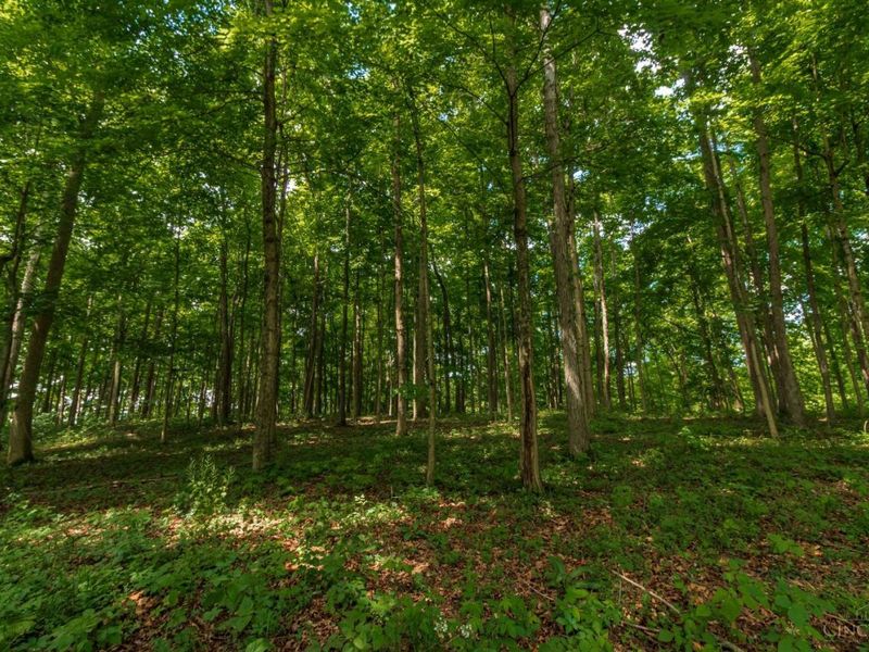 635 Pence Road, Winchester Twp, OH 45679 Photo 21