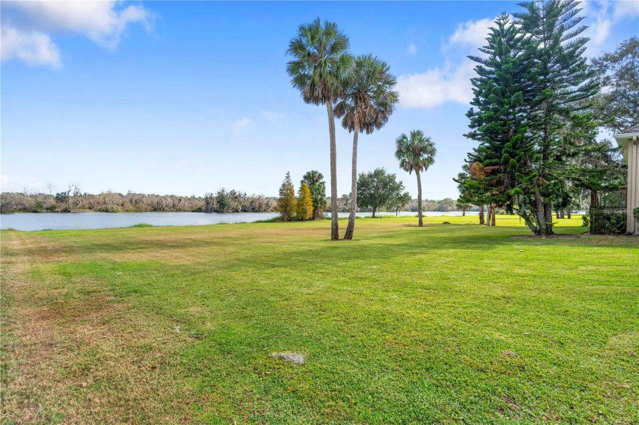 827 John Cressler Drive, Seffner, FL 33584 Photo