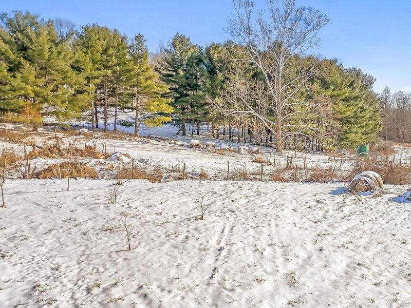 59674 Yoker Valley Road, Quaker City, OH 43773 Photo 30