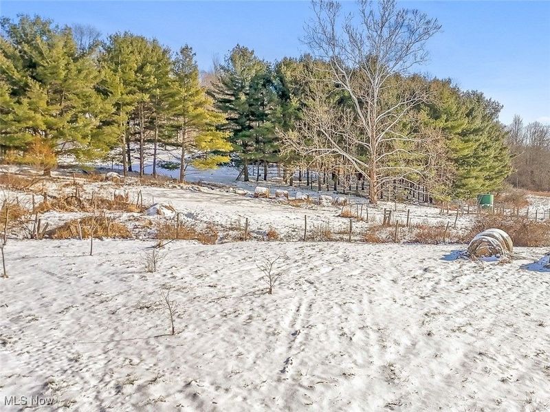 59674 Yoker Valley Road, Quaker City, OH 43773 Photo 30