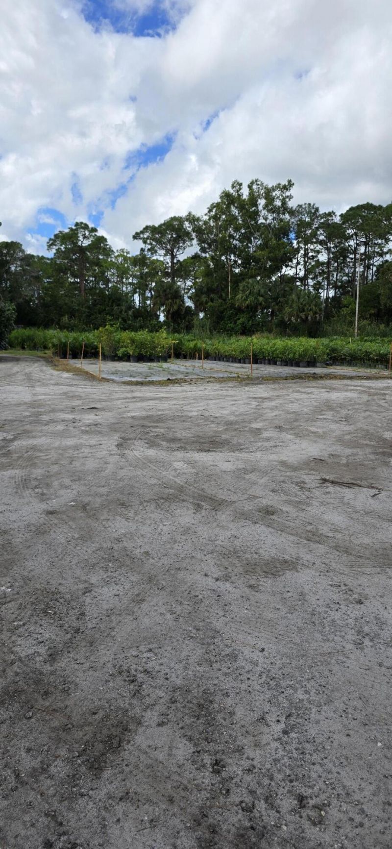 15720 Okeechobee Boulevard, Loxahatchee Groves, FL 33470 Photo