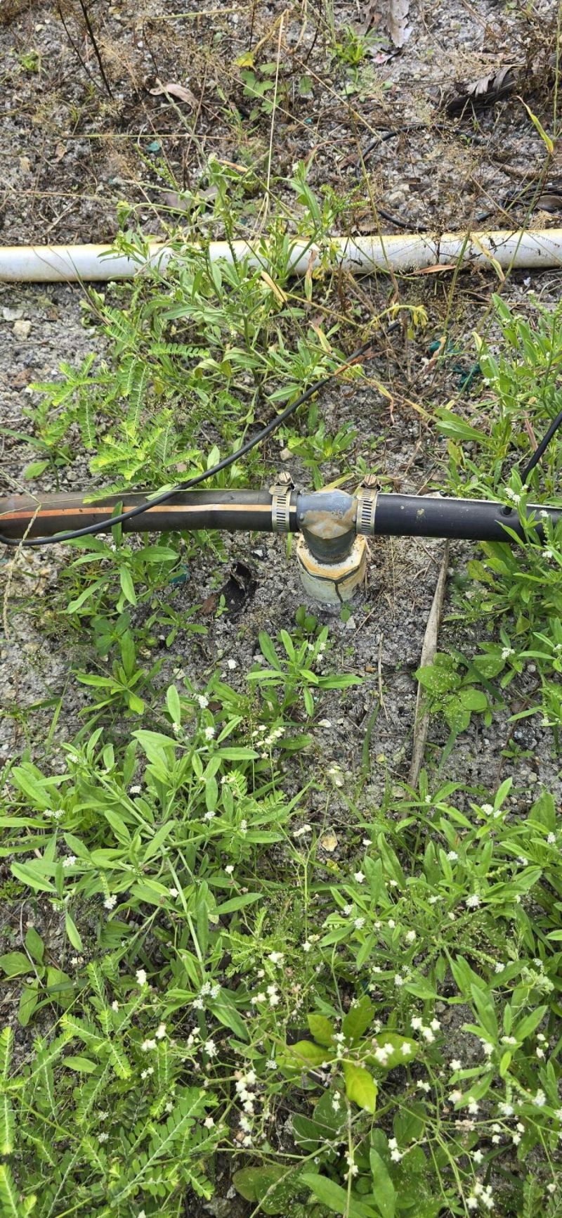 15720 Okeechobee Boulevard, Loxahatchee Groves, FL 33470 Photo