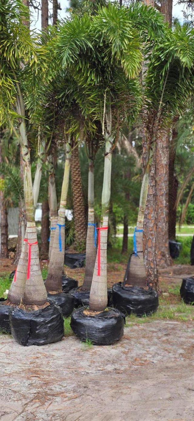 15720 Okeechobee Boulevard, Loxahatchee Groves, FL 33470 Photo