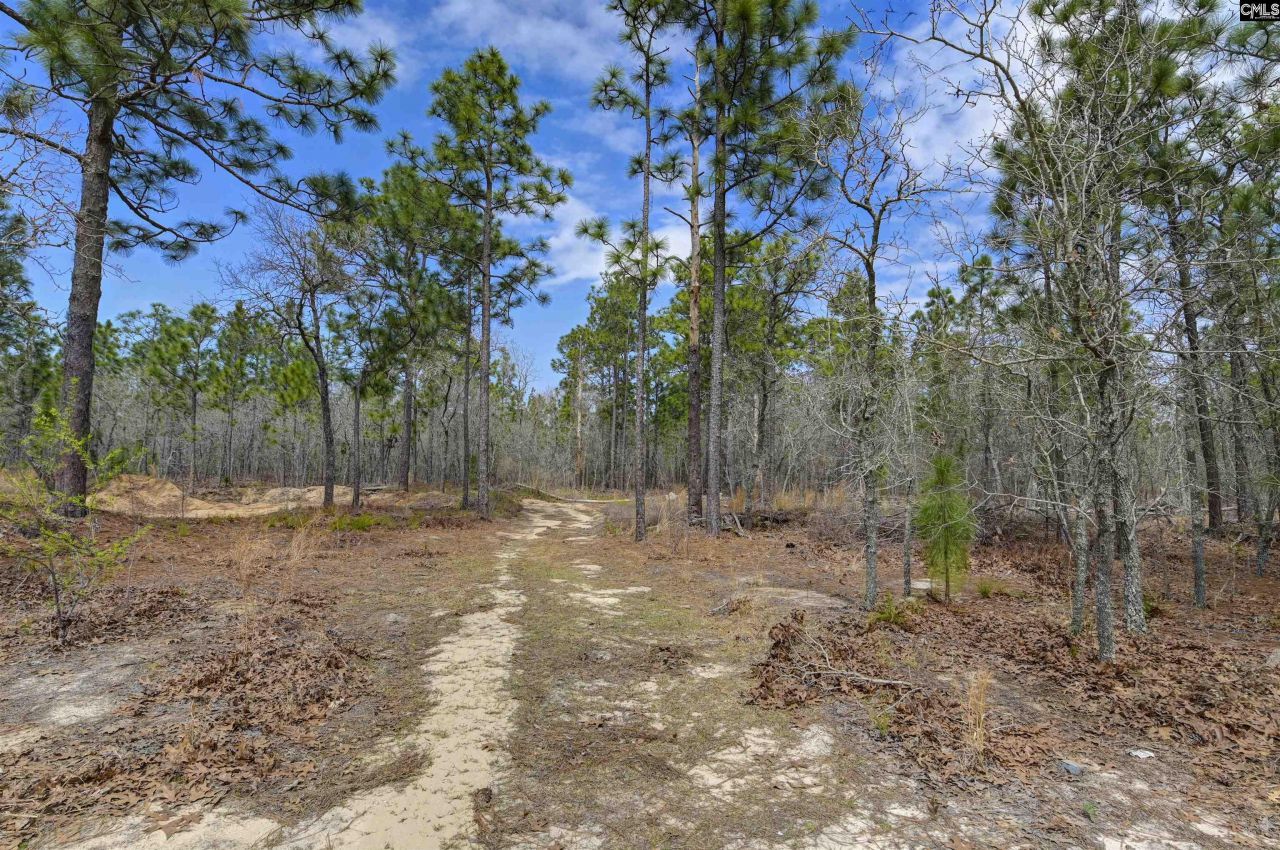 359 Sturkie Lane  Photo 29