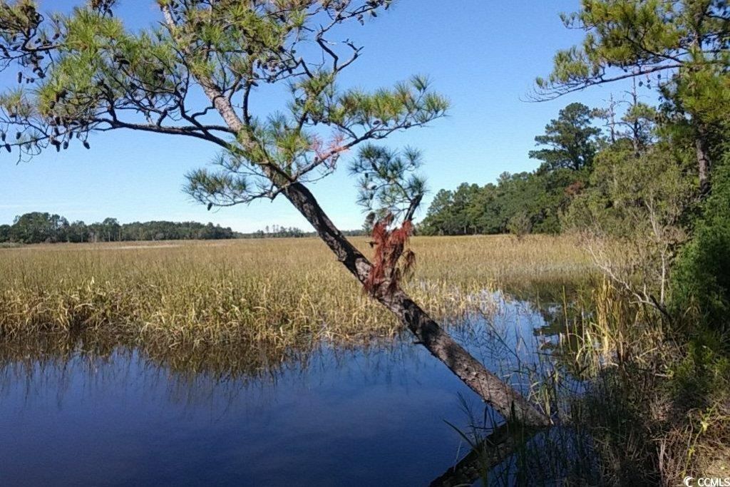 Slip 41 Friendfield Marina  Photo 10