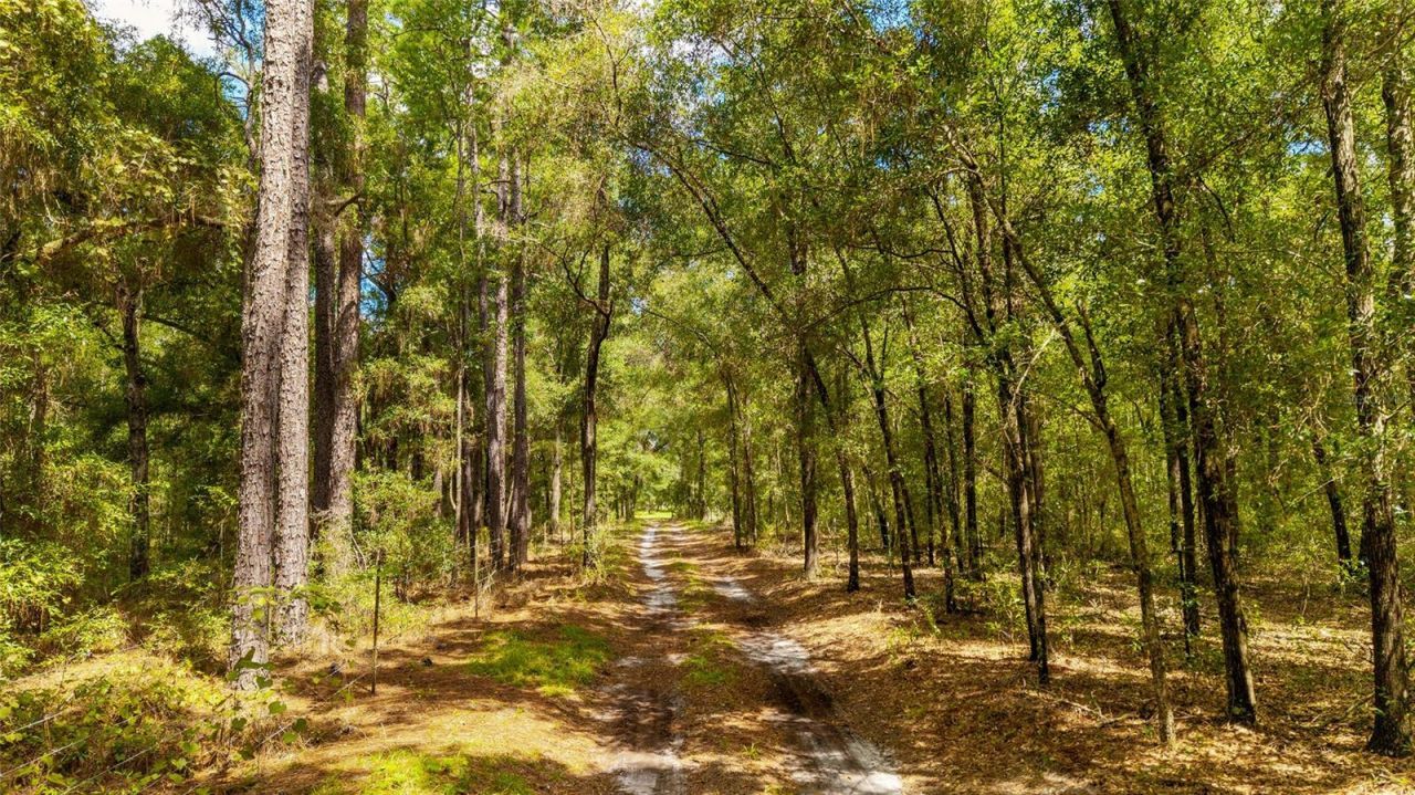 Tbd SE 35th Street, Morriston, FL 32668 Photo