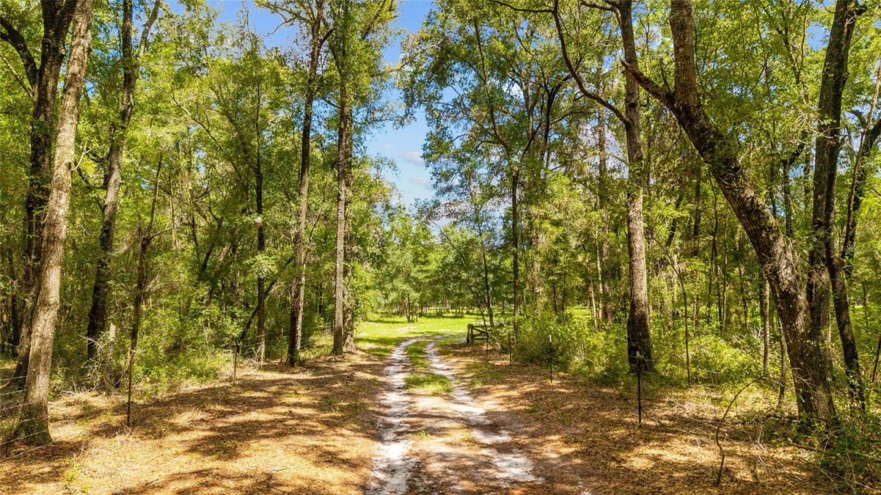 Tbd SE 35th Street, Morriston, FL 32668 Photo