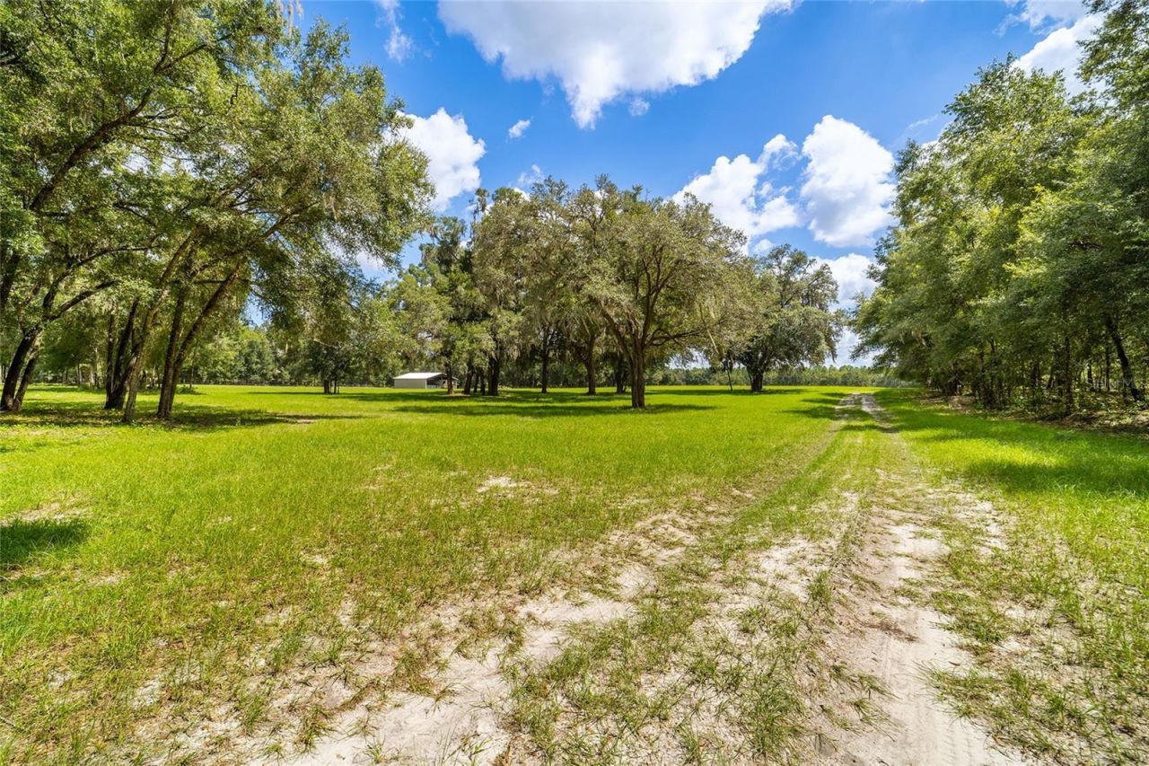 Tbd SE 35th Street, Morriston, FL 32668 Photo