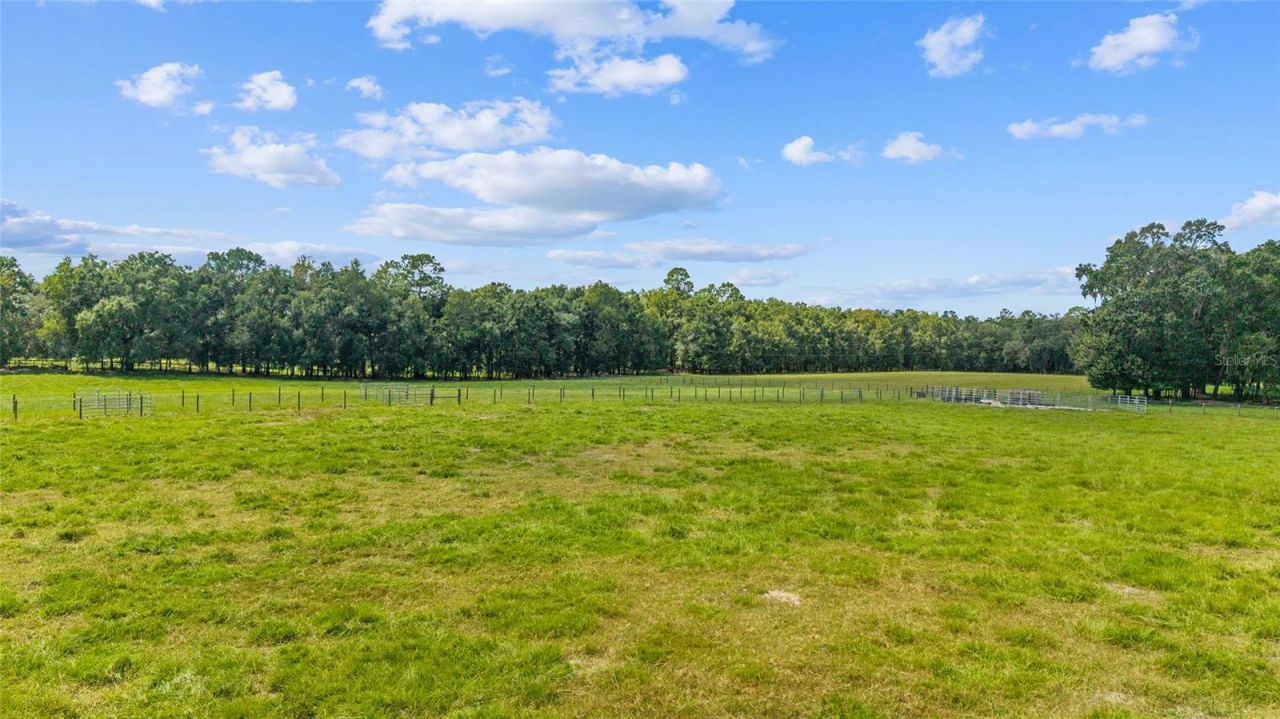 Tbd SE 35th Street, Morriston, FL 32668 Photo