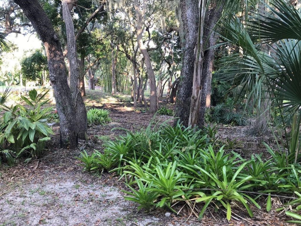 4407 S Shade Avenue, Sarasota, FL 34231 Photo