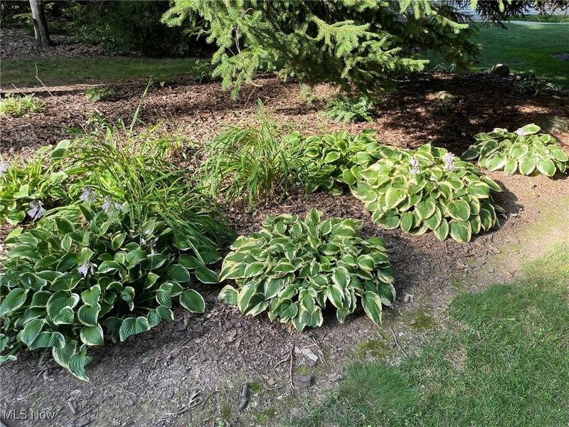 5001 S Jefferson Road, Shreve, OH 44676 Photo 47