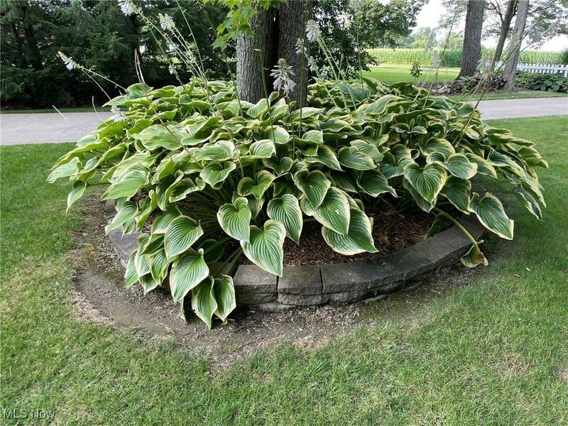 5001 S Jefferson Road, Shreve, OH 44676 Photo 48