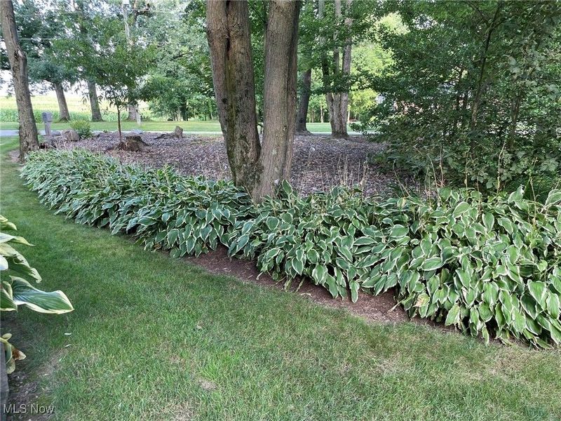 5001 S Jefferson Road, Shreve, OH 44676 Photo 49