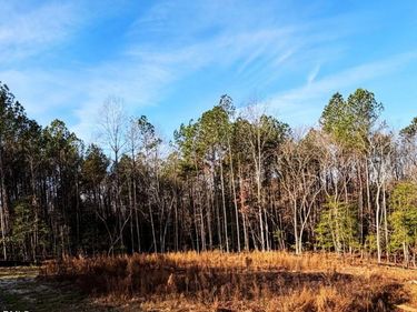 335 Little Lady Trail, Zebulon, NC 27597