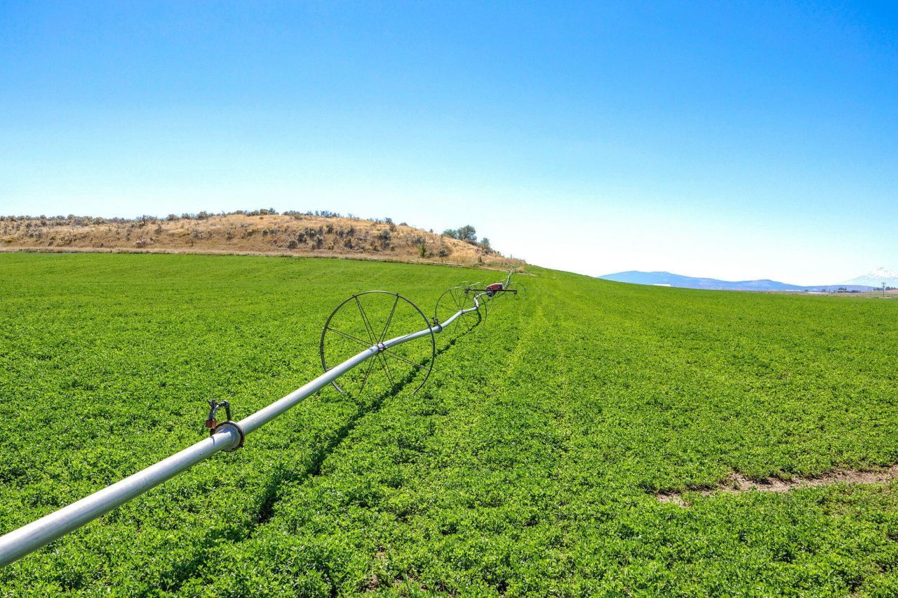 392 Del Fatti Lane, Klamath Falls, OR 97603 Main Photo